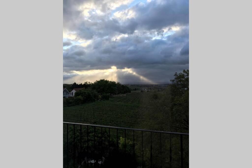 Wunderschoene Wohnung Mit Blick Auf Die Weinberge Neustadt an der Weinstraße 외부 사진